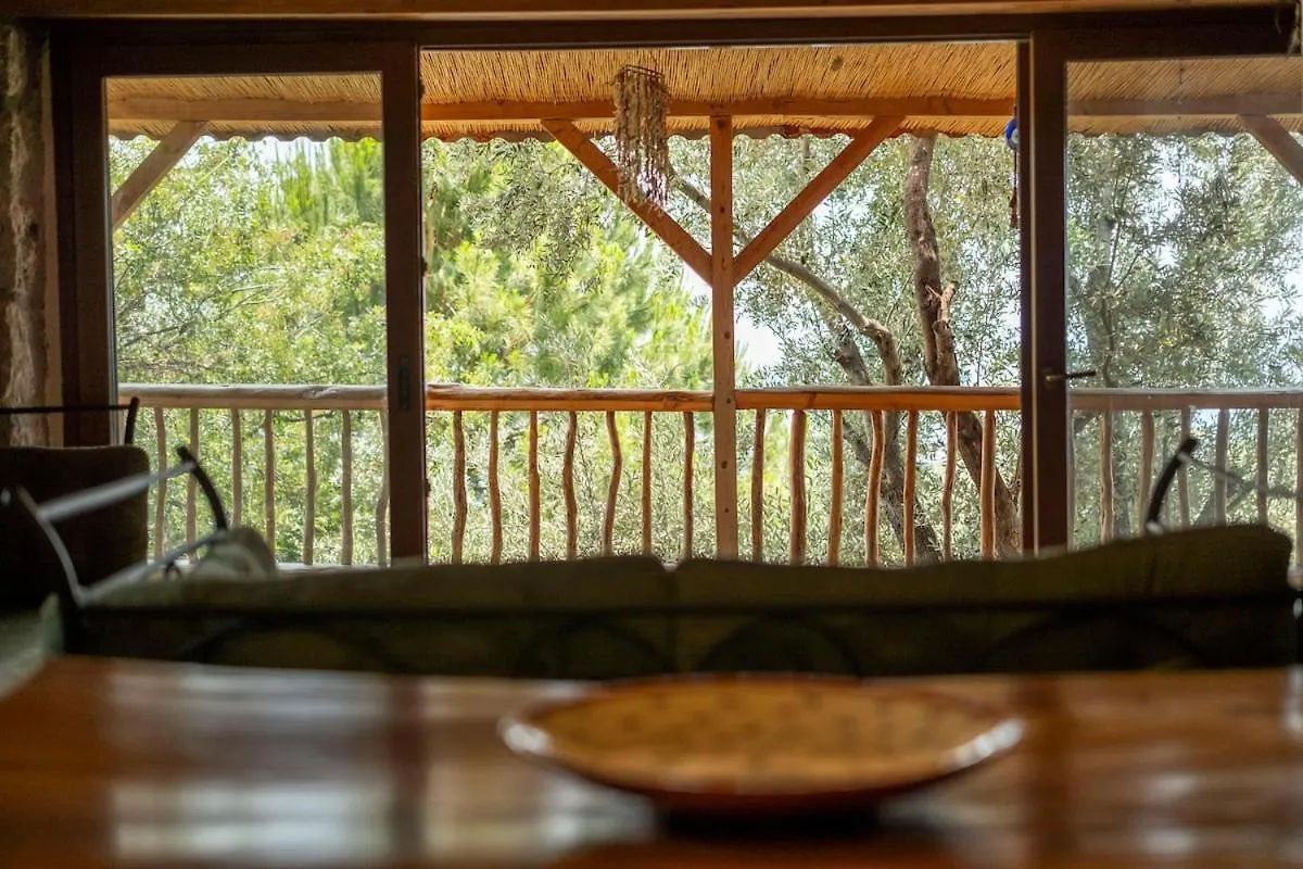 Villa Stone House With Pool Among Olive Trees In Kabak Fethiye 0*,  Turchia