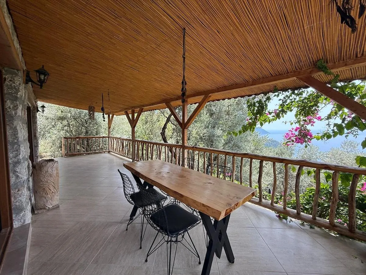Villa Stone House With Pool Among Olive Trees In Kabak Fethiye Turchia