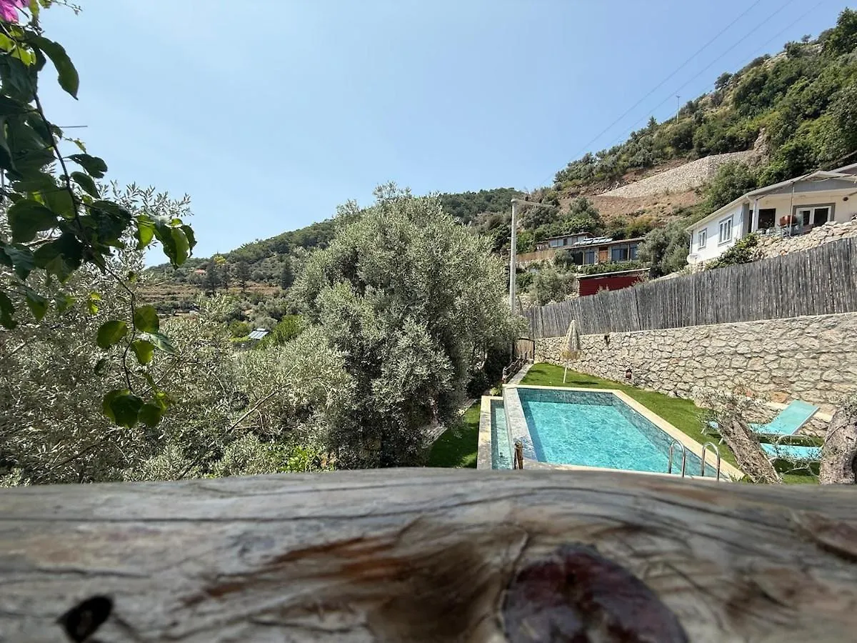 Villa Stone House With Pool Among Olive Trees In Kabak Fethiye 0*,  Turchia