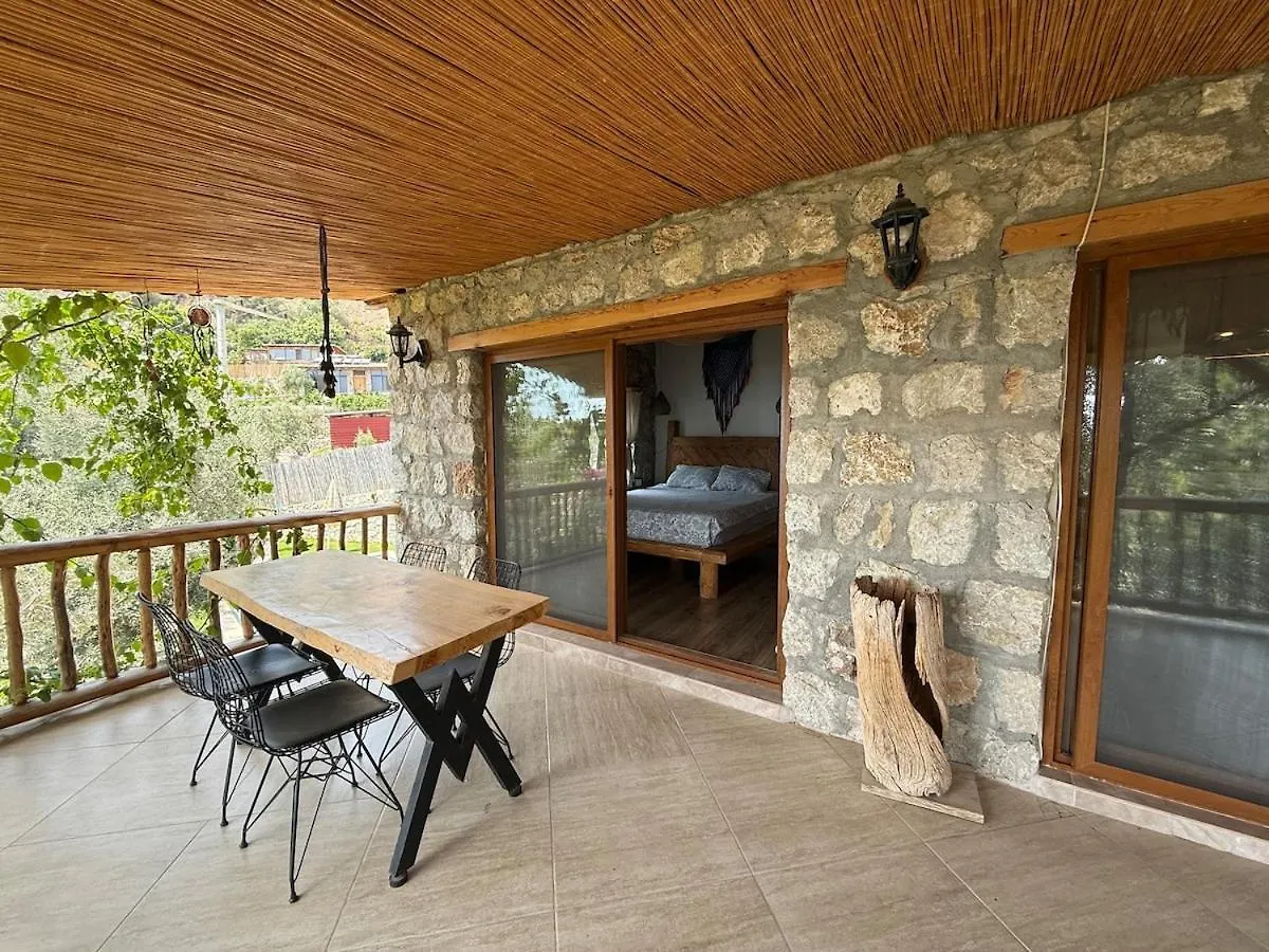 Villa Stone House With Pool Among Olive Trees In Kabak Fethiye