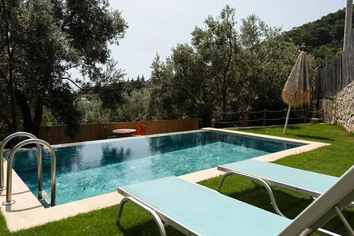 Villa Stone House With Pool Among Olive Trees In Kabak Fethiye