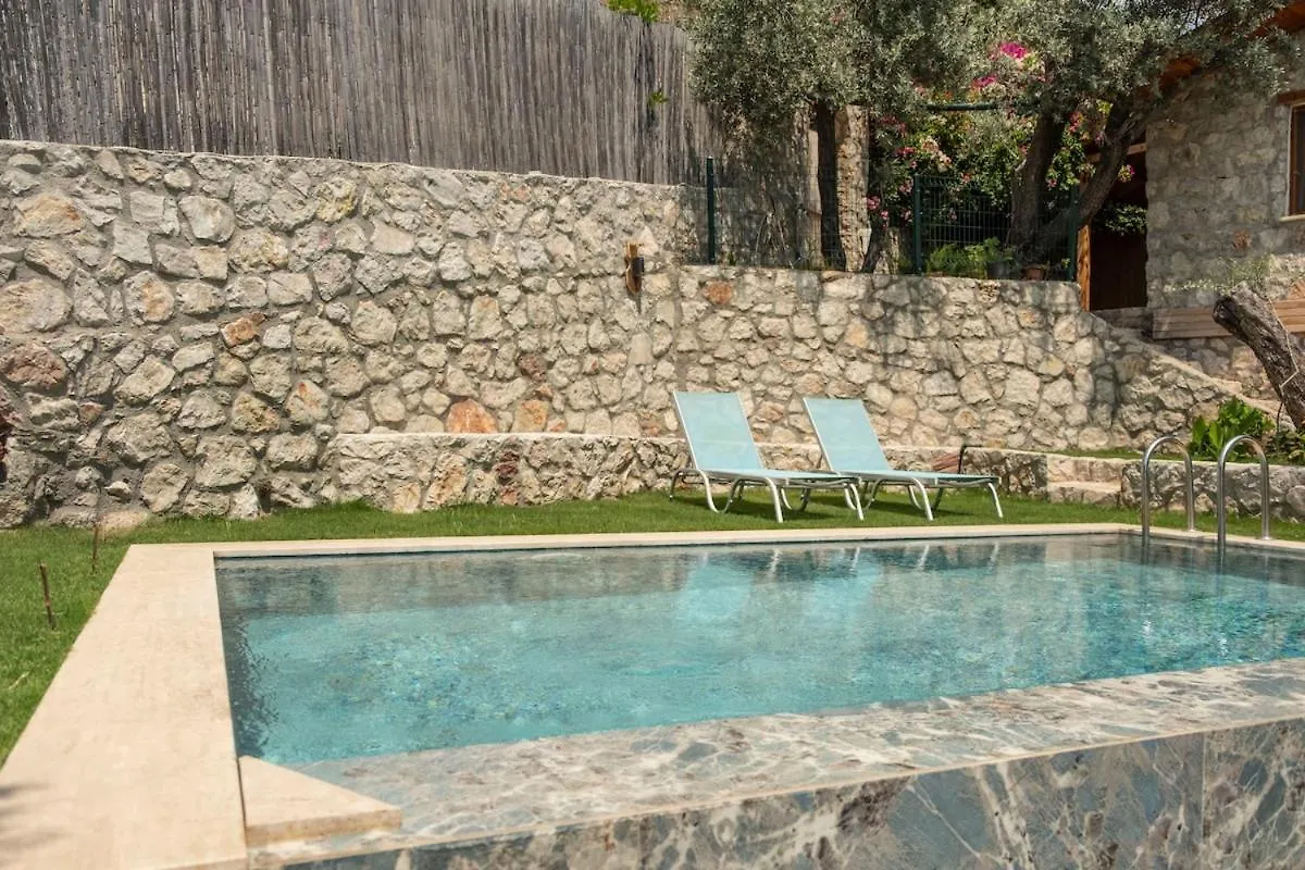 Villa Stone House With Pool Among Olive Trees In Kabak Fethiye