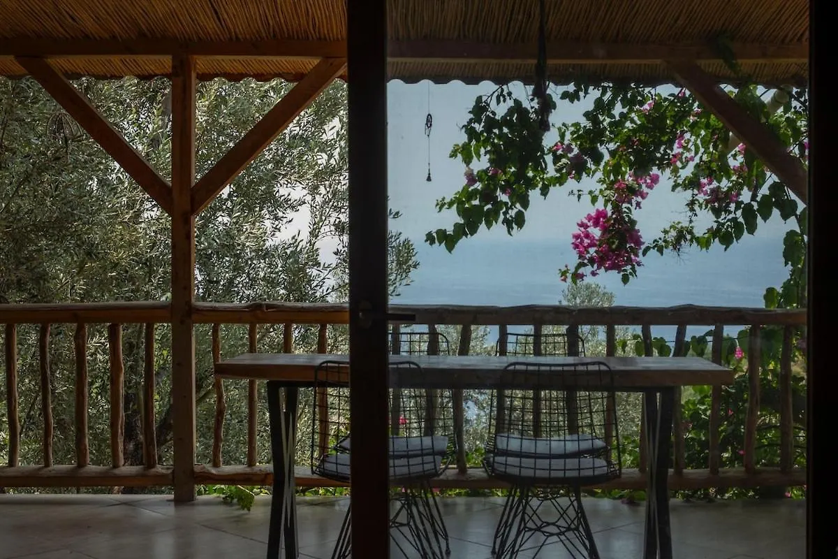 Villa Stone House With Pool Among Olive Trees In Kabak Fethiye 0*,  Turchia