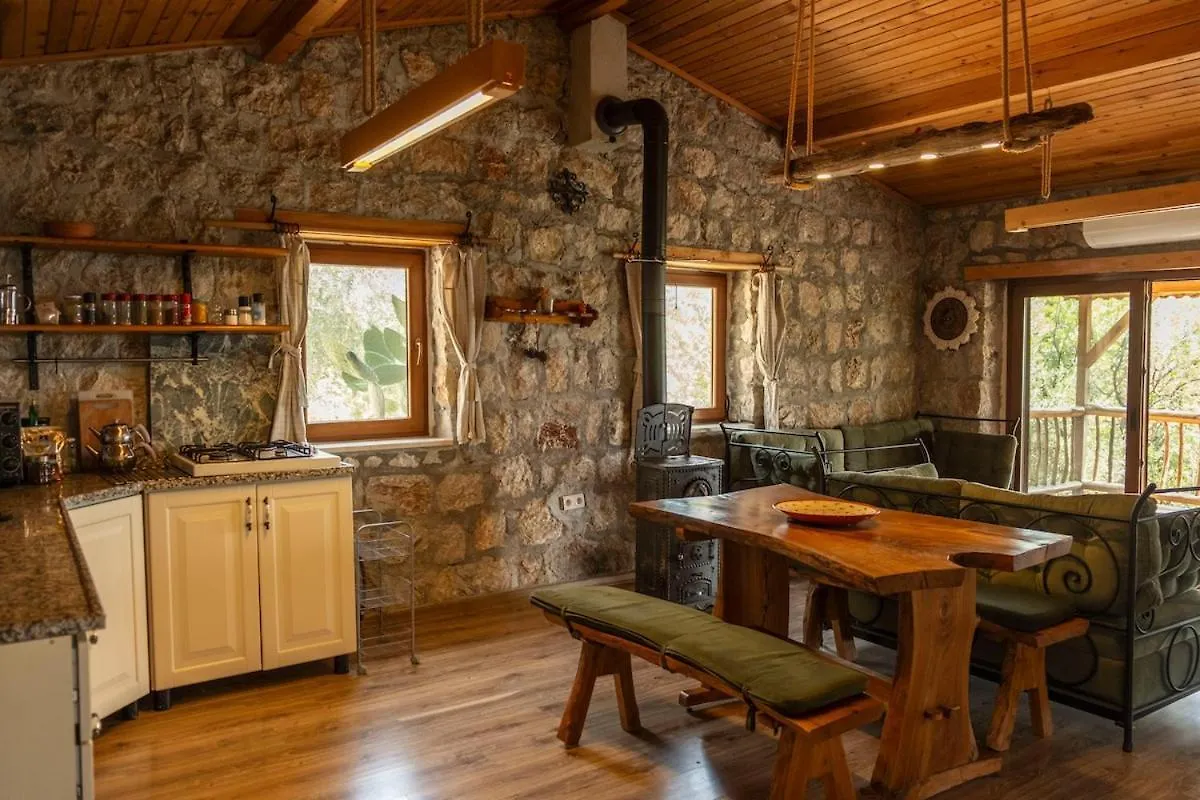 Villa Stone House With Pool Among Olive Trees In Kabak Fethiye