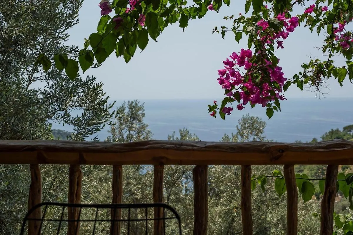 Villa Stone House With Pool Among Olive Trees In Kabak Fethiye