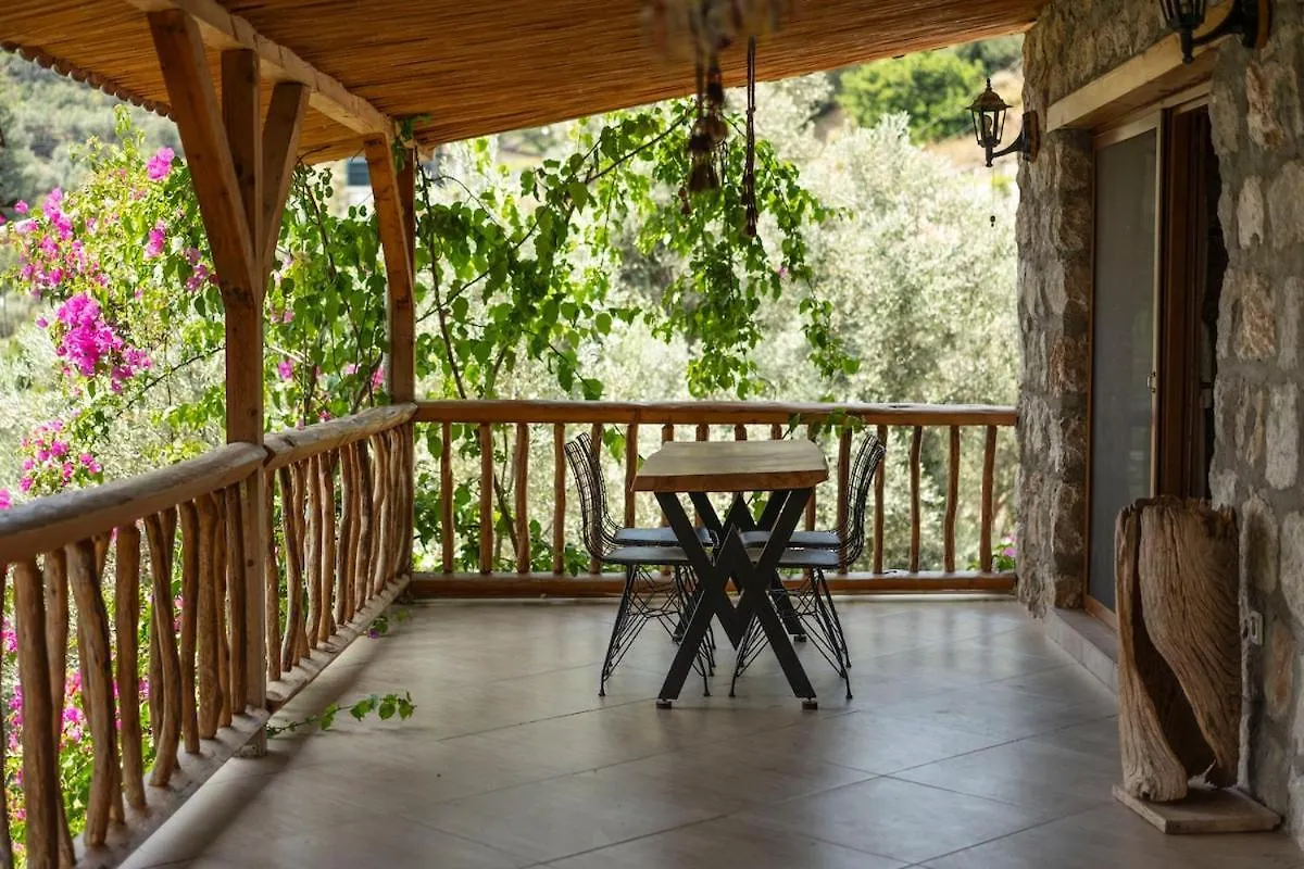 Villa Stone House With Pool Among Olive Trees In Kabak Fethiye 0*,
