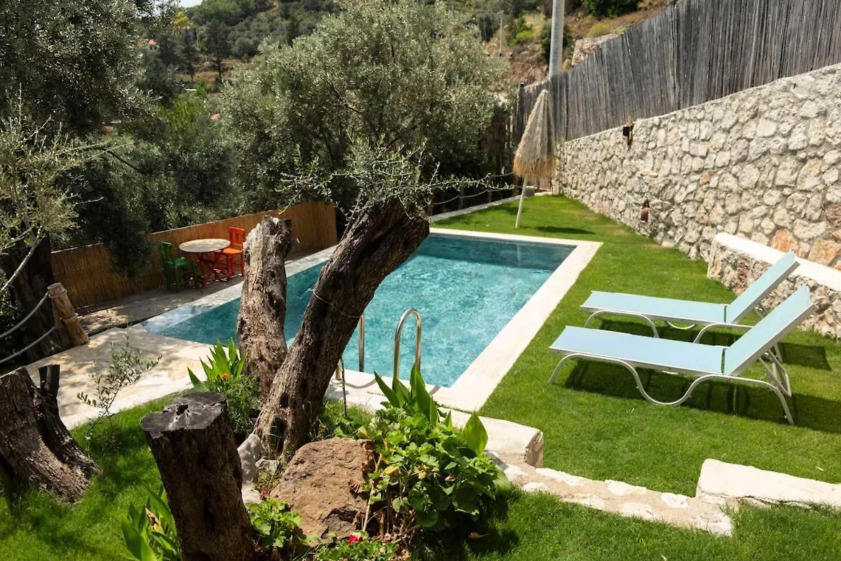 Villa Stone House With Pool Among Olive Trees In Kabak Fethiye