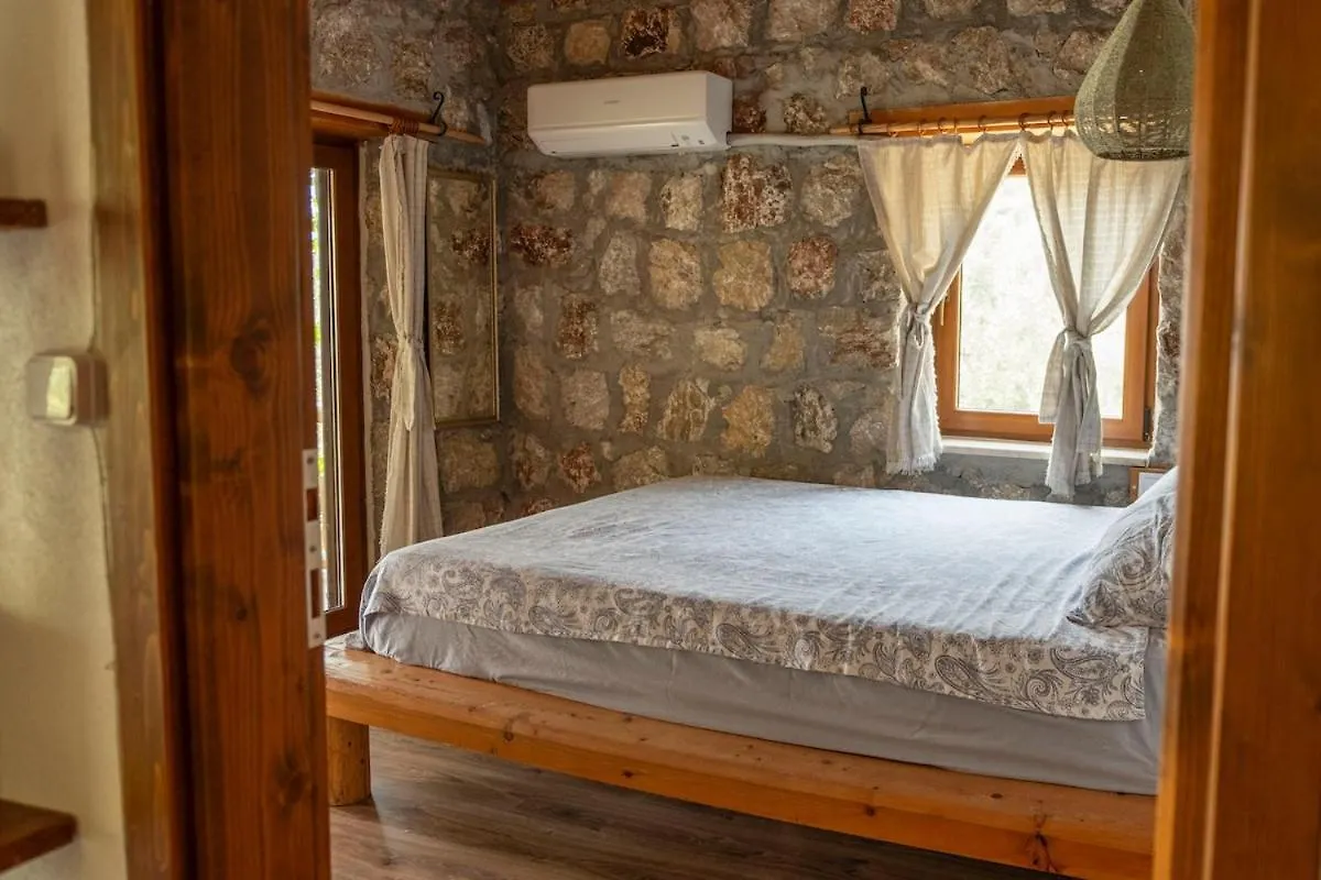 Villa Stone House With Pool Among Olive Trees In Kabak Fethiye