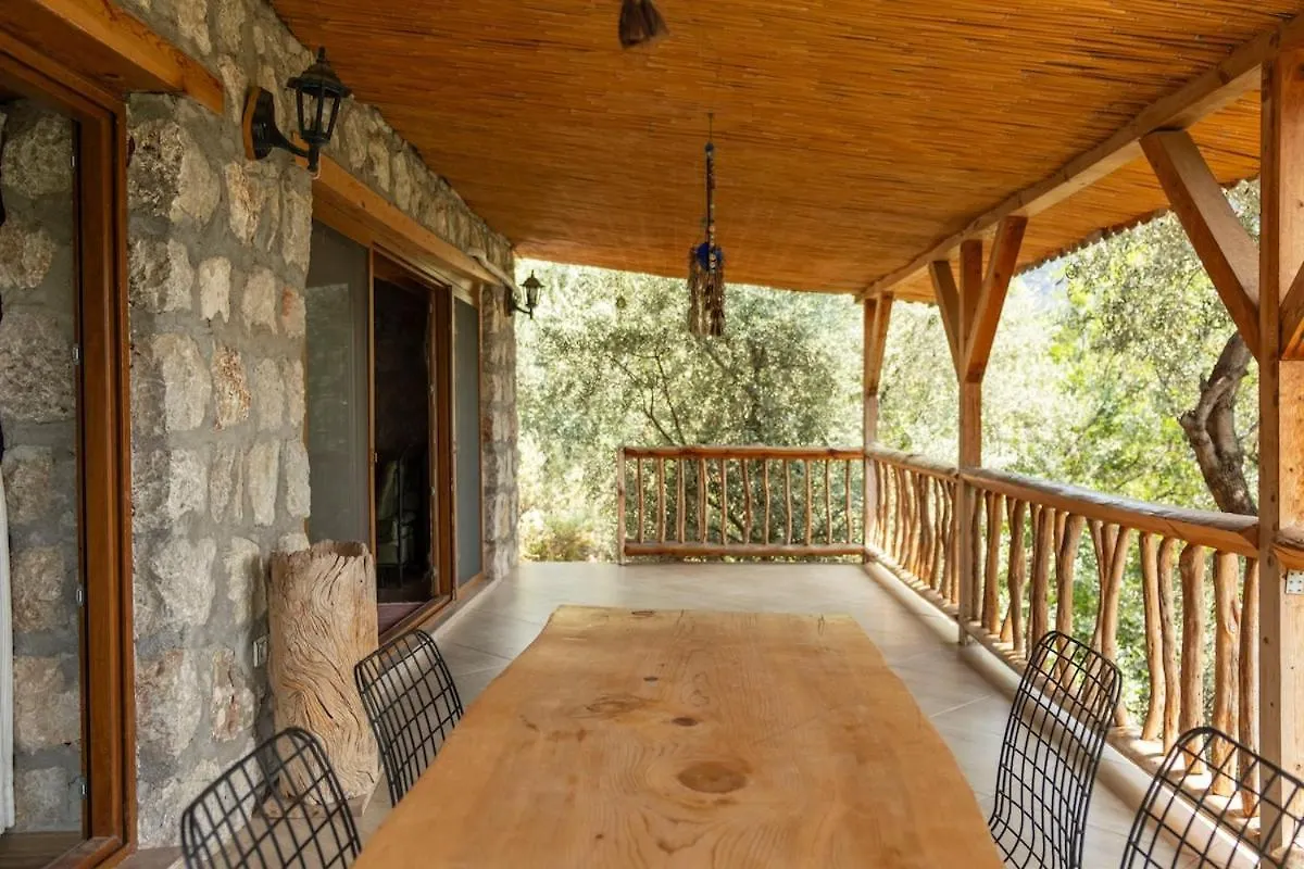 Villa Stone House With Pool Among Olive Trees In Kabak Fethiye Turchia