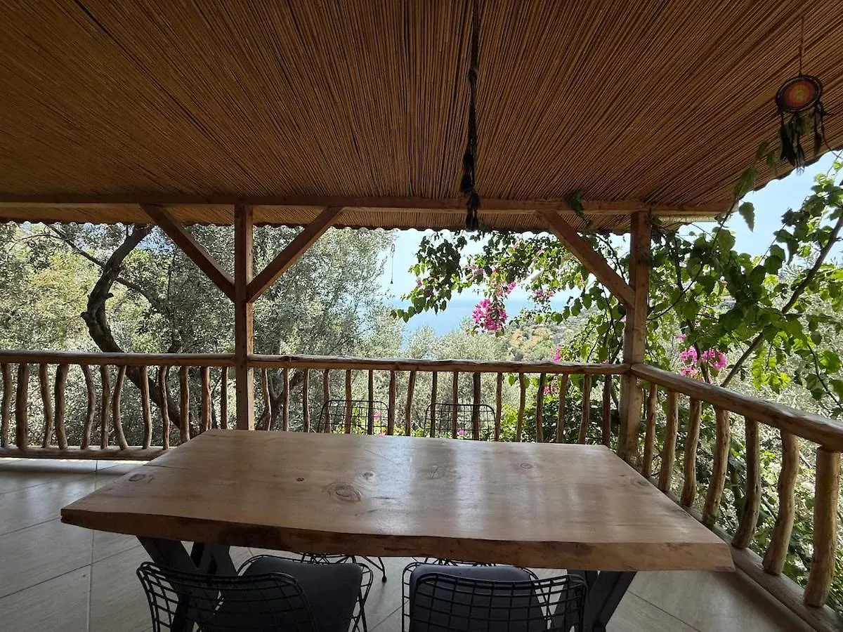 Villa Stone House With Pool Among Olive Trees In Kabak Fethiye