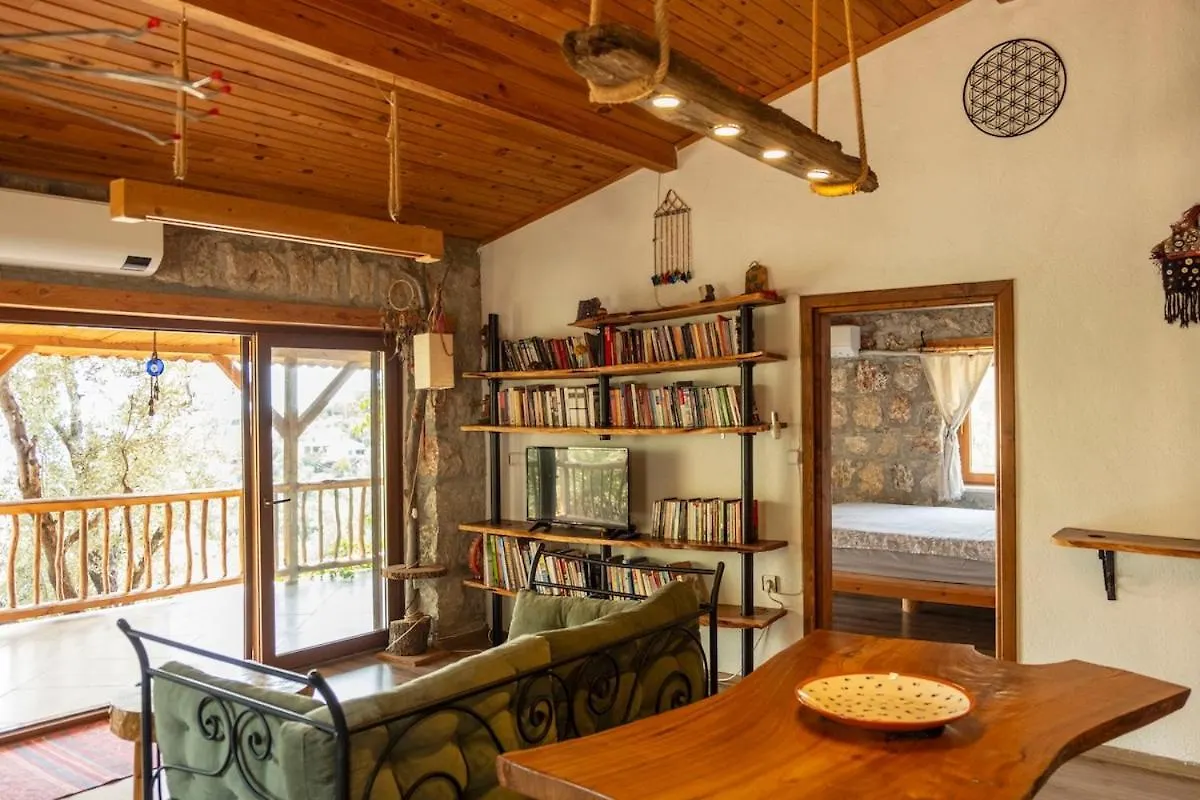 Villa Stone House With Pool Among Olive Trees In Kabak Fethiye Turchia