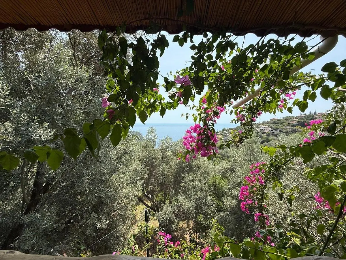 Villa Stone House With Pool Among Olive Trees In Kabak Fethiye 0*,