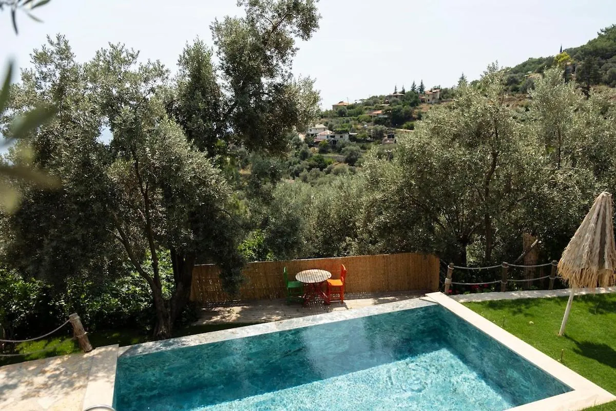 Villa Stone House With Pool Among Olive Trees In Kabak Fethiye 0*,