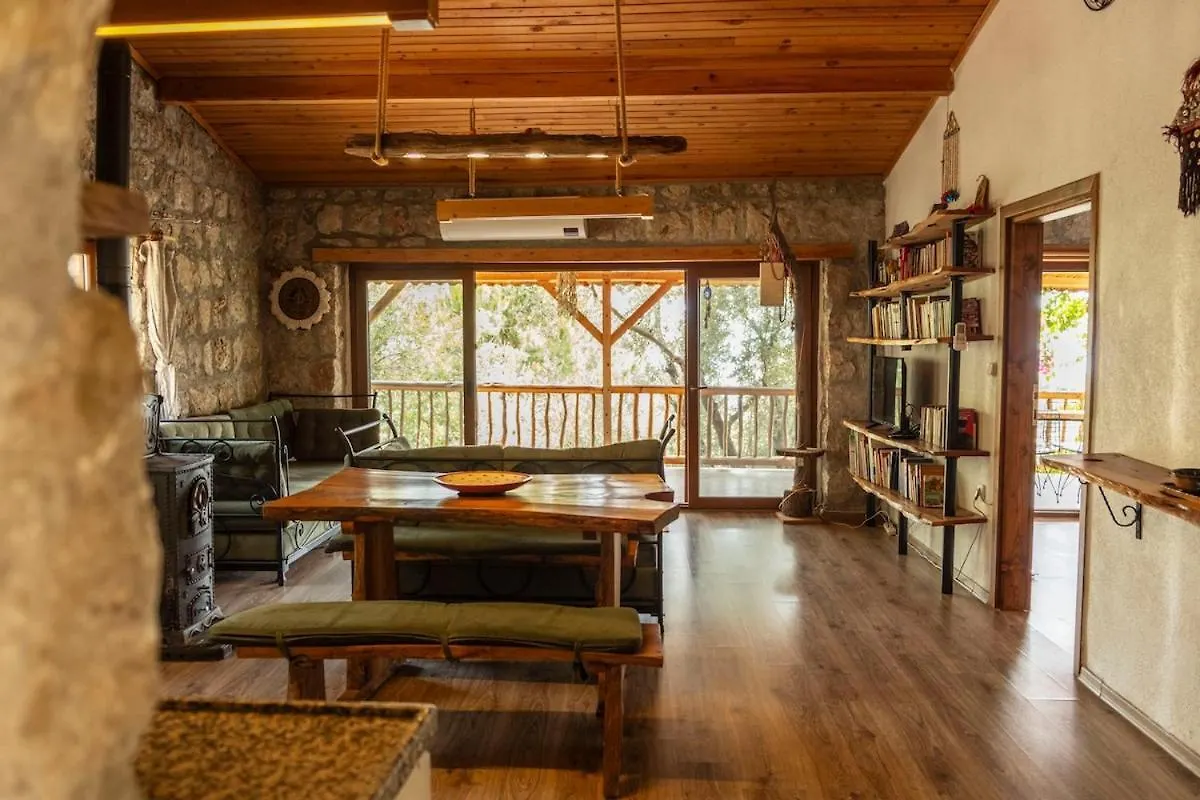 Villa Stone House With Pool Among Olive Trees In Kabak Fethiye