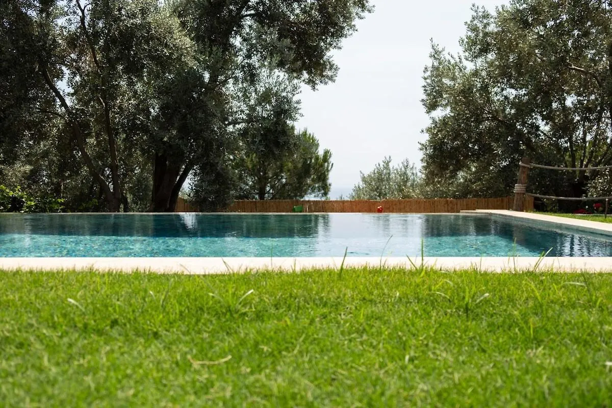 Villa Stone House With Pool Among Olive Trees In Kabak Fethiye Turchia